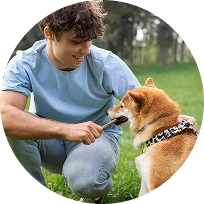 Dog Training