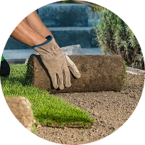 Lawn Care