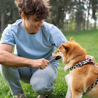 Dog Training